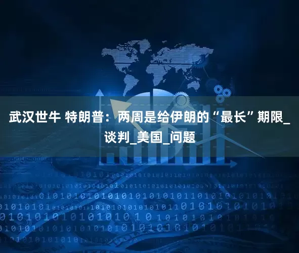 武汉世牛 特朗普：两周是给伊朗的“最长”期限_谈判_美国_问题