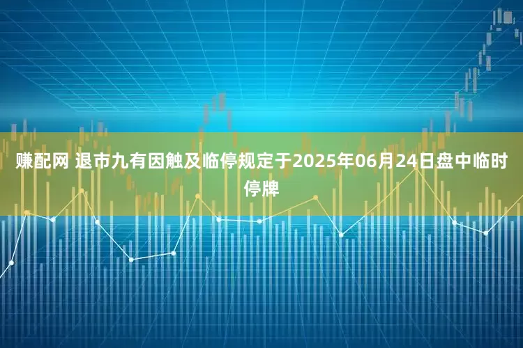 赚配网 退市九有因触及临停规定于2025年06月24日盘中临时停牌