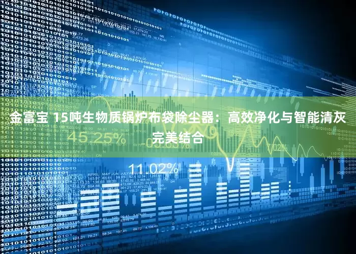 金富宝 15吨生物质锅炉布袋除尘器：高效净化与智能清灰完美结合