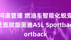问道管理 燃油车智能化蜕变 乾崑赋能奥迪A5L Sportback