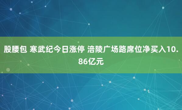 股腰包 寒武纪今日涨停 涪陵广场路席位净买入10.86亿元
