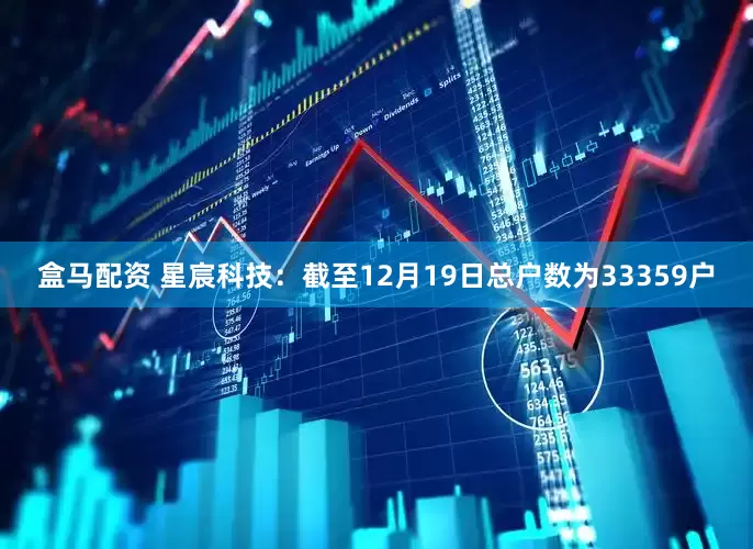 盒马配资 星宸科技：截至12月19日总户数为33359户