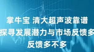 掌牛宝 清大超声波靠谱不，探寻发展潜力与市场反馈多不多