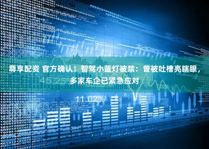 尊享配资 官方确认！智驾小蓝灯被禁：曾被吐槽亮瞎眼，多家车企已紧急应对